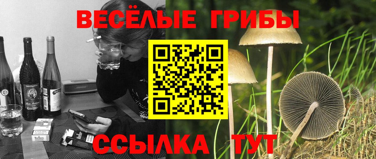Галлюциногенные грибы ЛСД Воскресенск