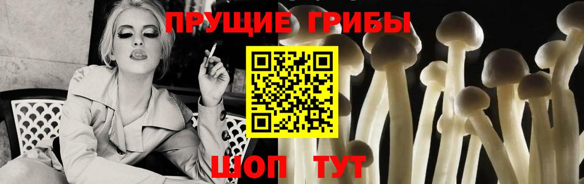 Галлюциногенные грибы мицелий  Вход с VPN  Воскресенск  Галлюциногенные грибы прущие грибы 